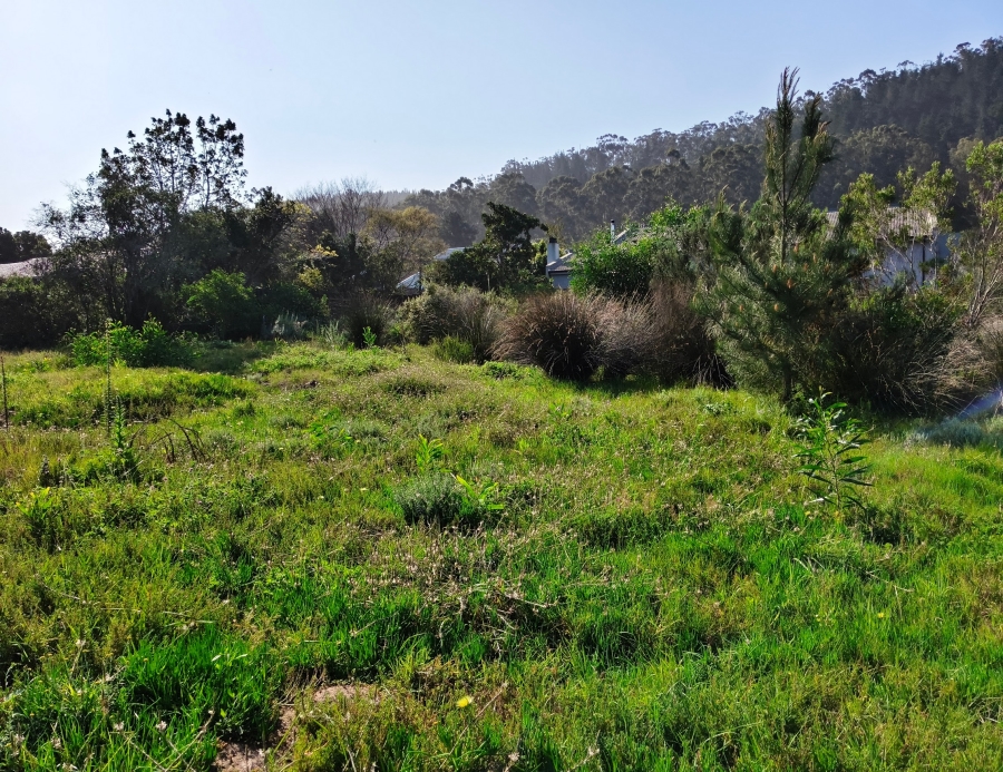 0 Bedroom Property for Sale in Groenvallei Western Cape